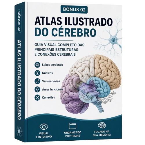 Bônus 02 - Atlas Ilustrado do Cérebro